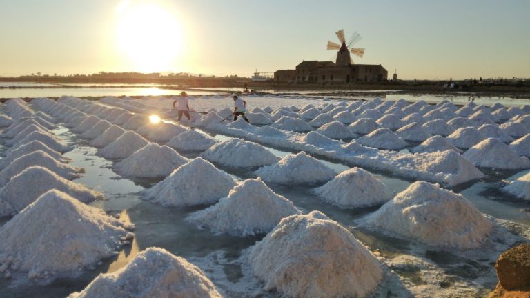 saline 1