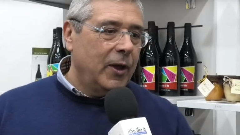 Totò-Cuffaro-1280x720
