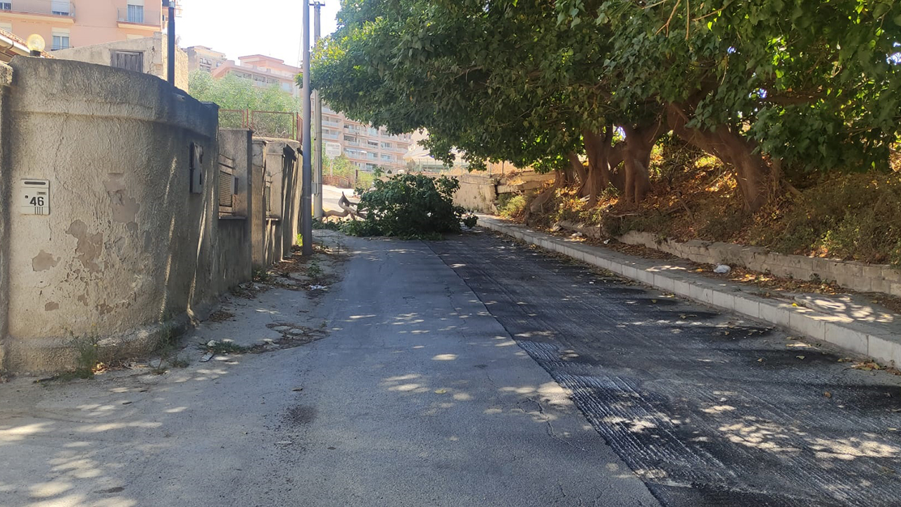 Cade albero in via Gramsci. E' necessario una ricognizione sullo stato di tutti gli alberi di grande fusto presenti in città