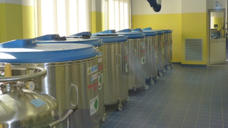 bancacordone ombelicale Sciacca (Piccola)