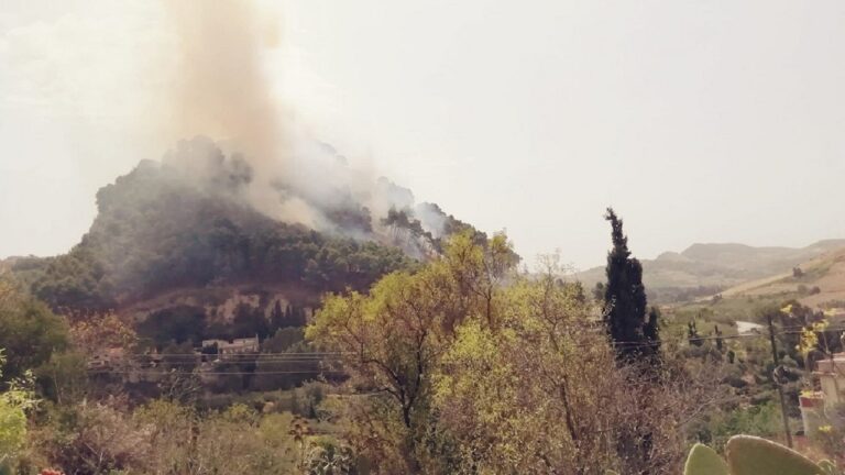 incendio_bosco_castello_calatafimi