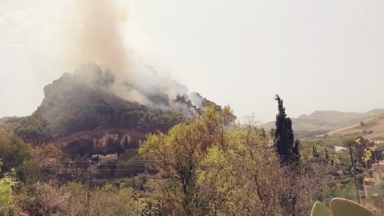 Caldo e fiamme in Sicilia. Il fuoco aggredisce zona boschiva a Calatafimi