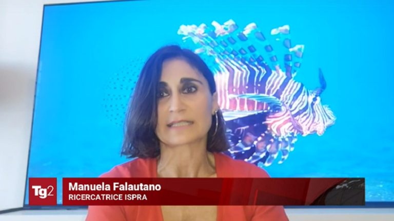 manuela falautano