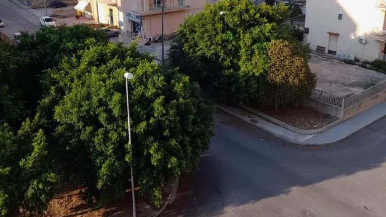 via carnevale bergamo alberi 2022