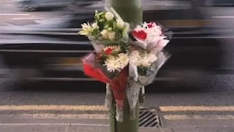 Incidenti fiori