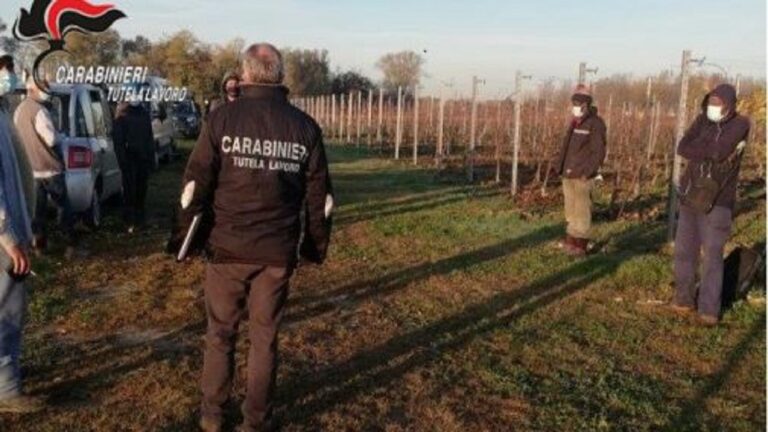 carabinieri nil