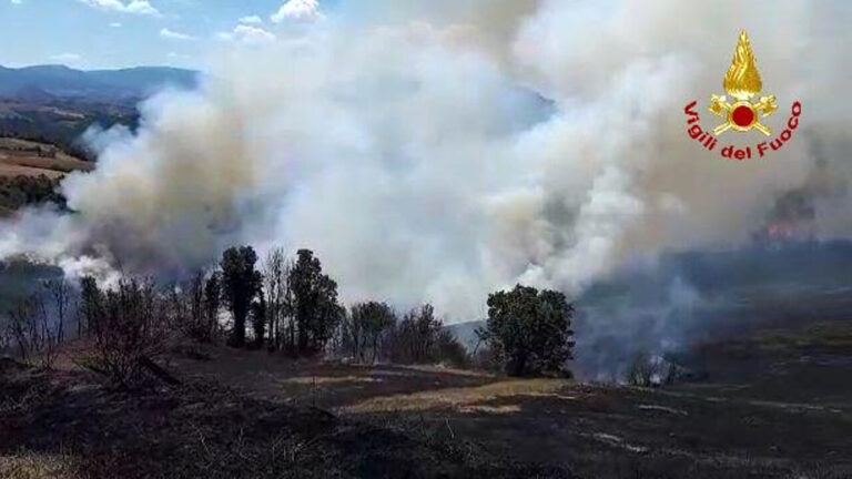 incendio bosco