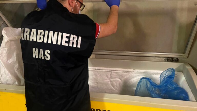 nas carabinieri frigo