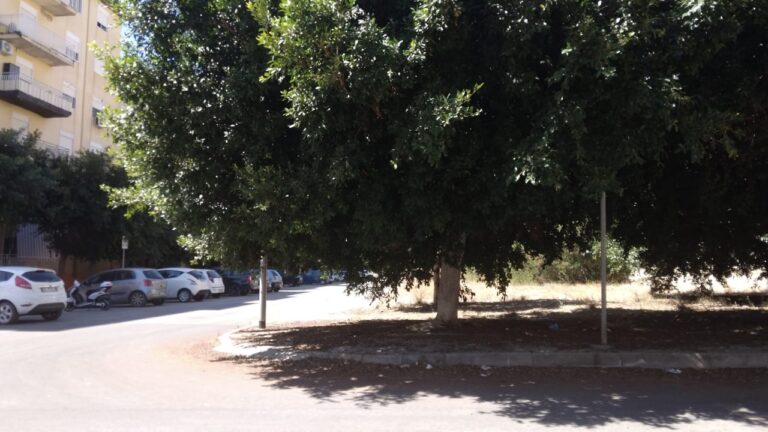 perriera alberi 2022