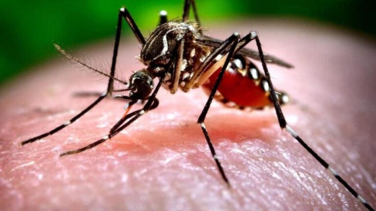 west-nile-1280x720