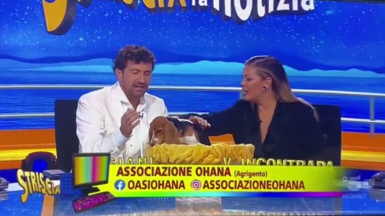 CANE STRISCIA 2022