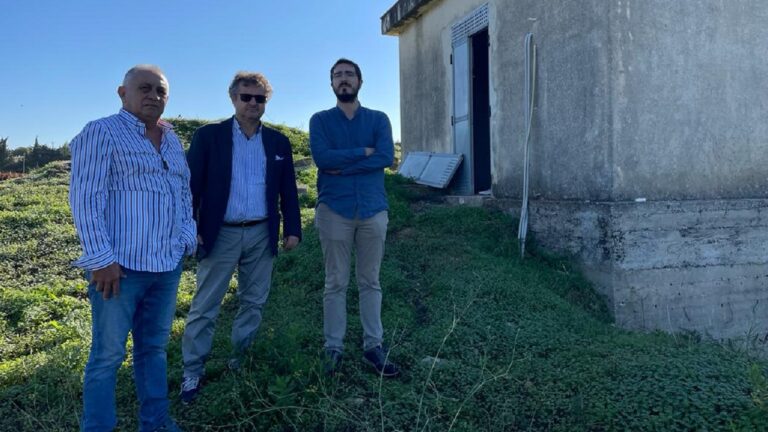 fiorino termine san marco 2022