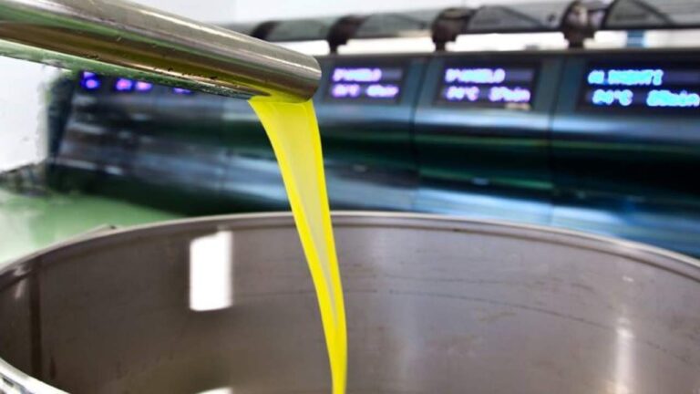 olio-frantoio-1280x720