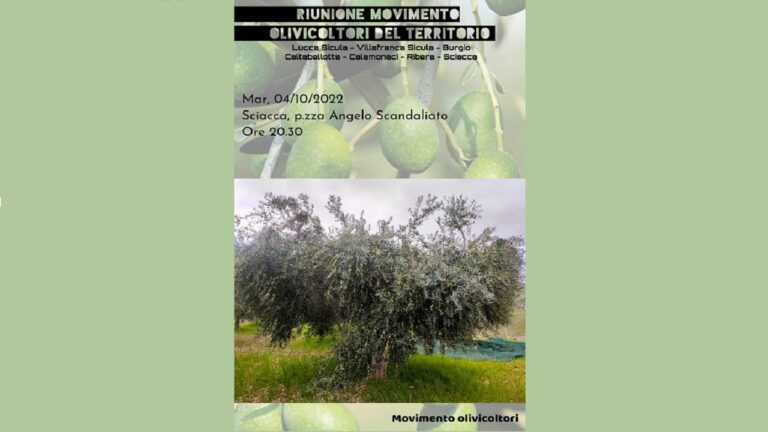 olio protesta sciacca