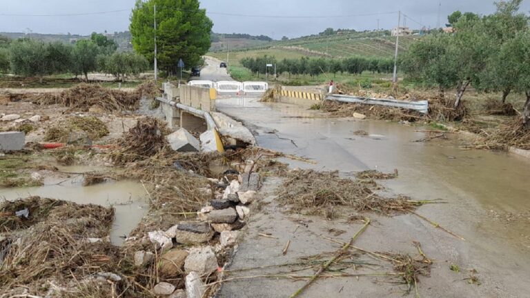 ponte raganella 2022