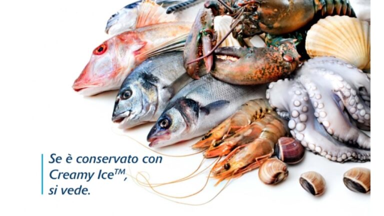 37016F95-6E20-4F85-97CB-1252BB0F9D04