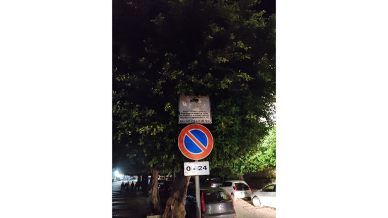 Alberi da potare 1280x720