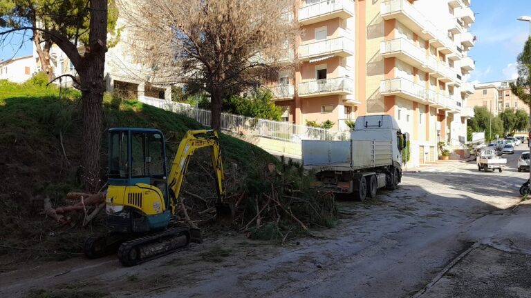 VIA NASTASI RIMOZIONE PINO PERICOLANTE 2022