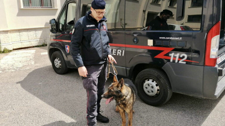 cARABINIERI CINOFILI