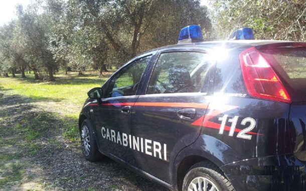 Danneggiamento a Burgio