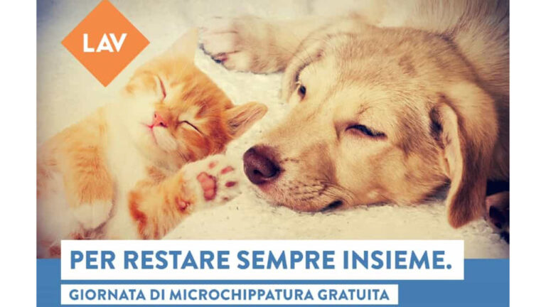 microchippatura gratuita dei cani - locandina
