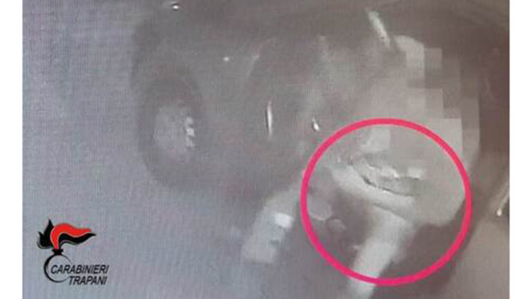 molotov escavatore Alcamo