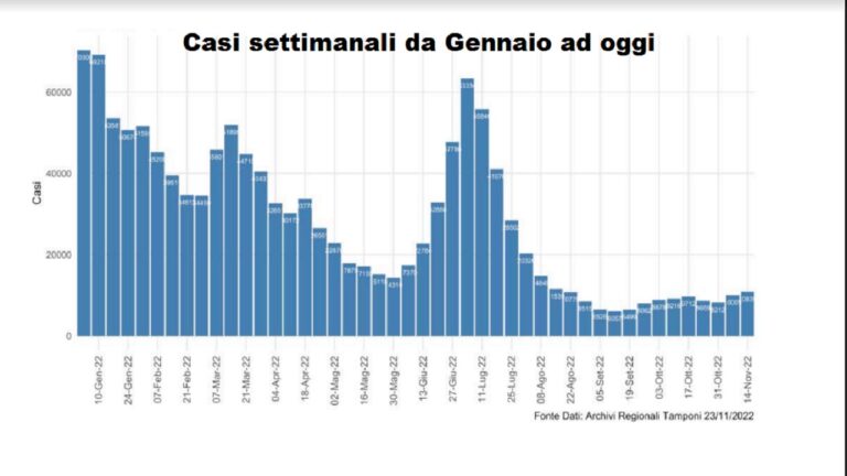 report covid settimane da gennaio a novembre 2022