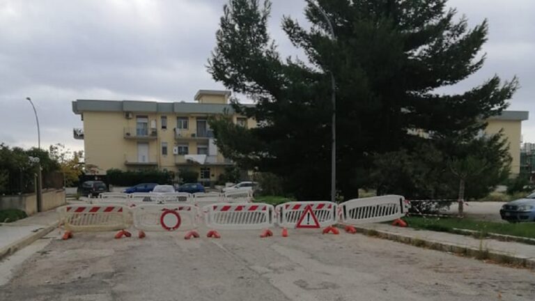 via dei lauri albero strada chiusa 2022