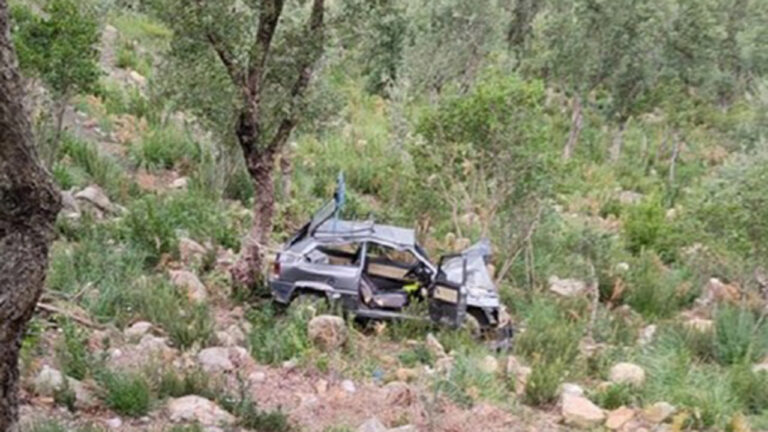 Forestale incidente