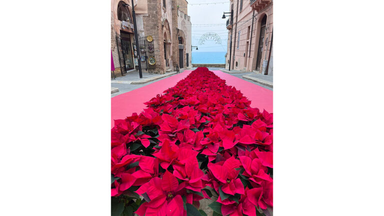 Natale alla marina Flag - Copia