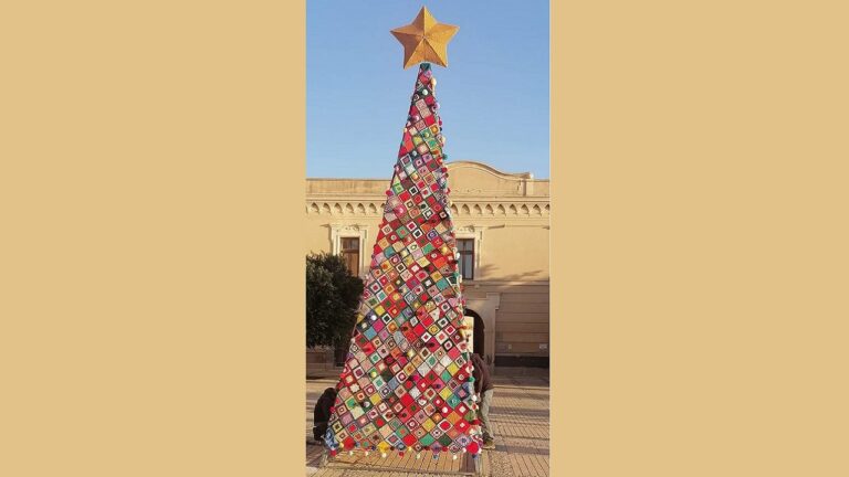 albero menfi 2022