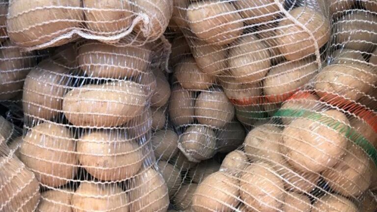 patate-4