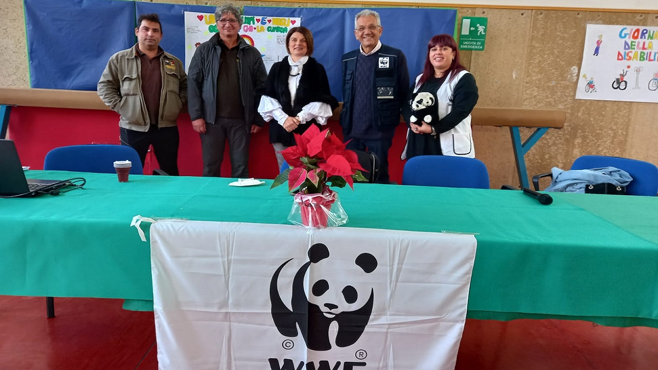 Wwf celebra la 