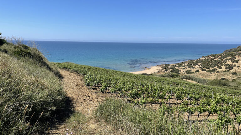 Menfi mare e campagna