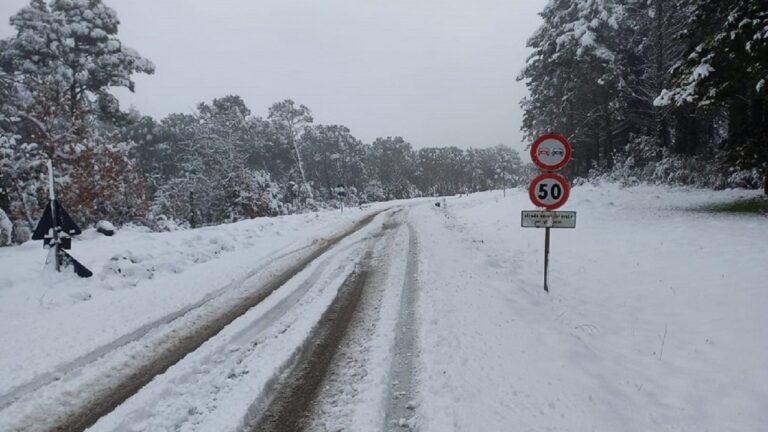 neve cammarata santo stefano