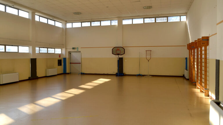 palestra scolastica