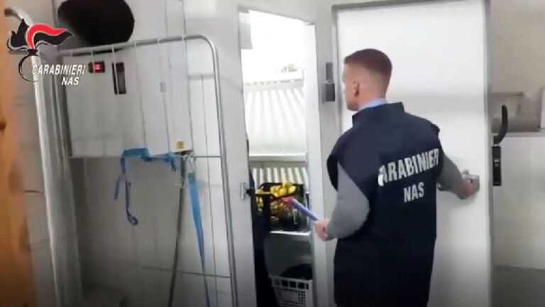 CARABINIERI NAS CONTROLLI