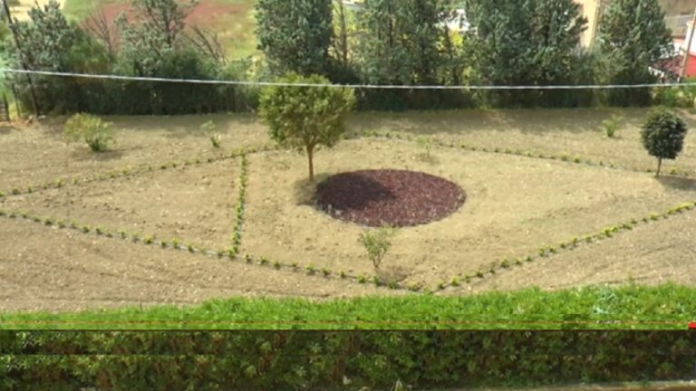 giardino amato vetrano 2023