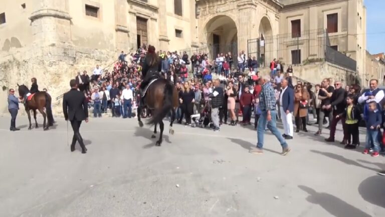palma cavalli sfilata