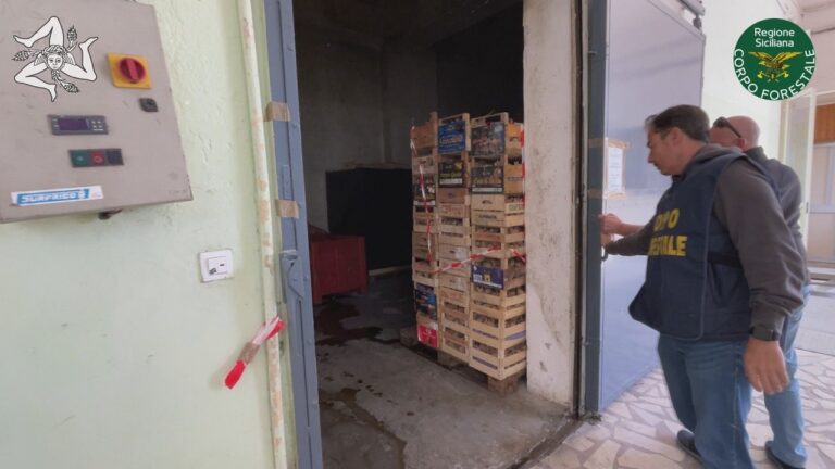 patate sequestrate e destinate a smaltimento_2