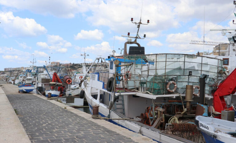 porto pescherecci 3 (Media)