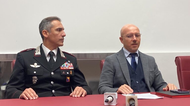 stingo vella 2023
