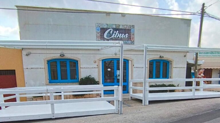 Cibus campobello