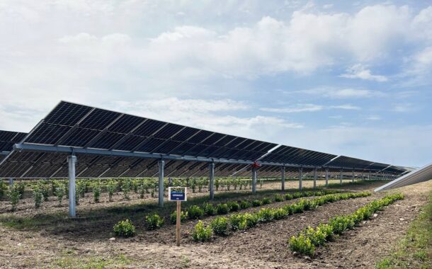 Acceso a Mazara del Vallo il più grande parco agrivoltaico d’Italia