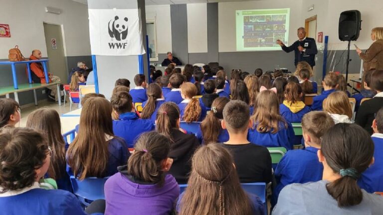 wwf cammarata 2023