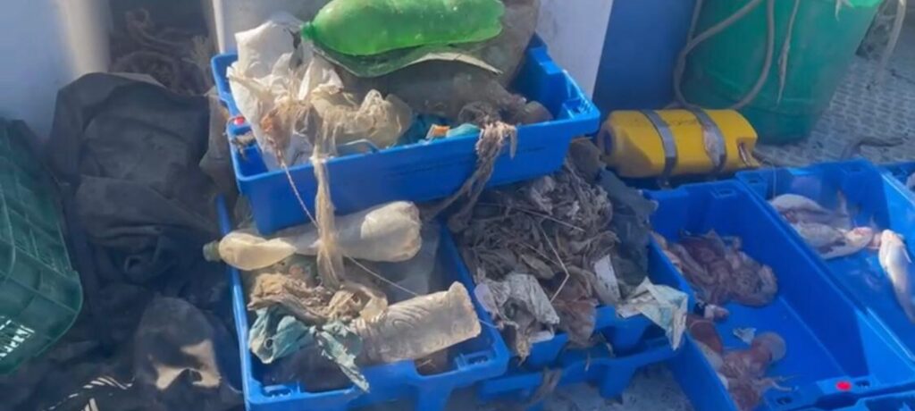 Più plastica che pesci, Marevivo “Non dobbiamo aspettare il 2050”
