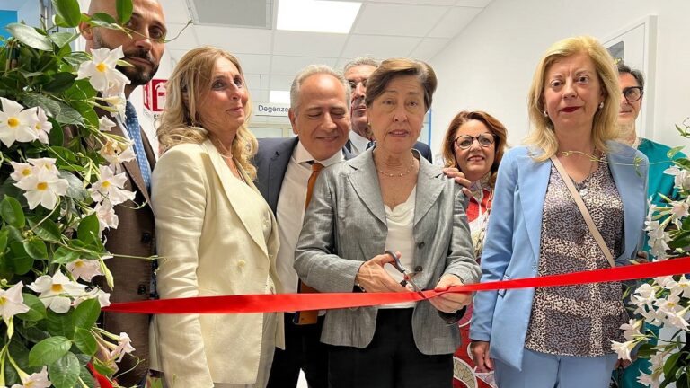 assessore volo cervello 2023