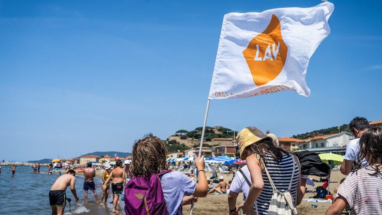 lav spiagge