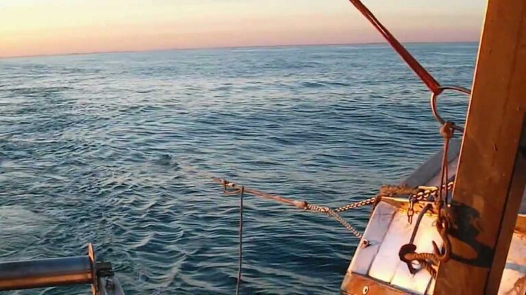 pesca strascico