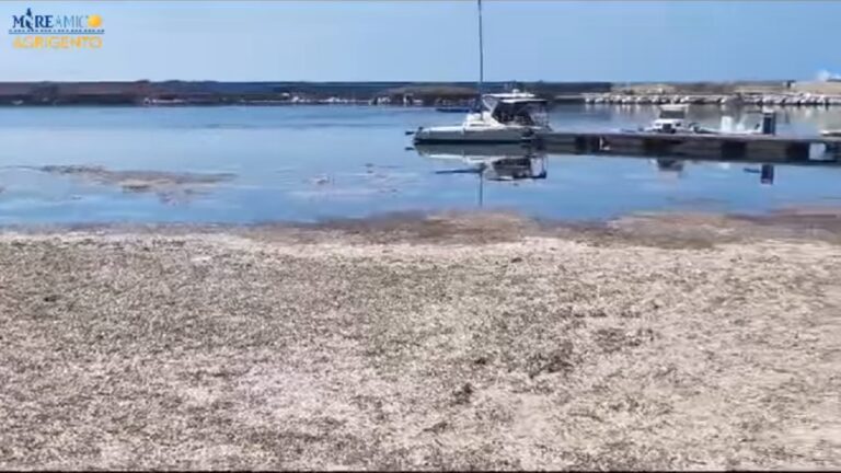 porto menfi 2023